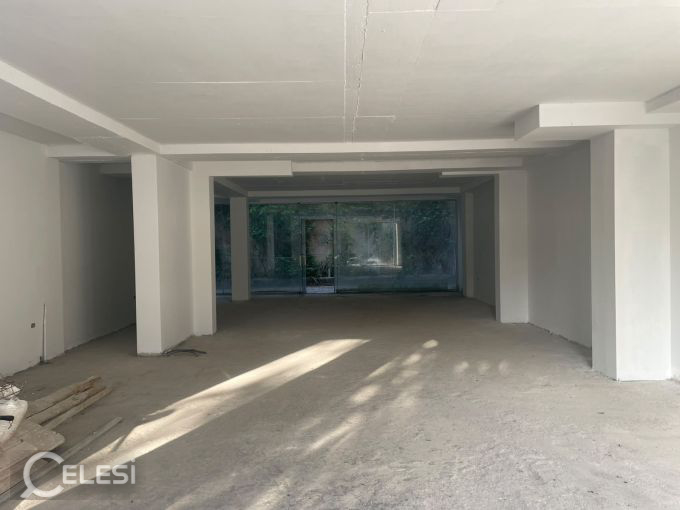Shitet ambient biznesi tek Liqeni i Thate , prane Memento Studio Tirana , Kopshti Botanik .