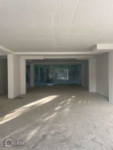 Shitet ambient biznesi tek Liqeni i Thate , prane Memento Studio Tirana , Kopshti Botanik .