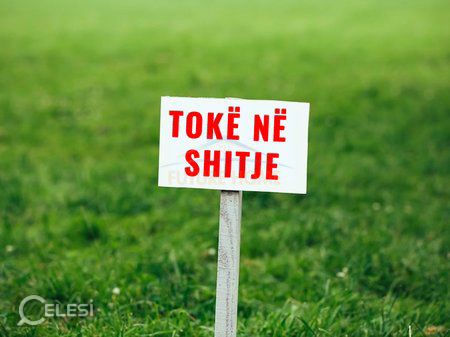 Shitet, Toke, Piqeras, Borsh