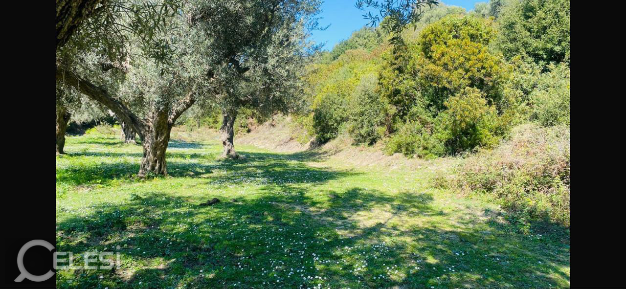 🌿 Shitet tokë | Lukovë📍 Lukovë, Sarandë