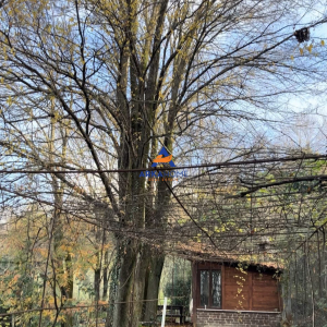 njoftime-Gazeta-Celesi__1778078115270_6013__1776711__.jpeg