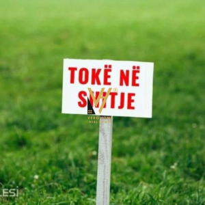 njoftime-Gazeta-Celesi__1778492499635_7476__1780069___cover.jpeg