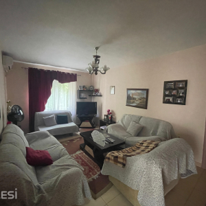 njoftime-Gazeta-Celesi__1778507326932_1580__1780552__.jpeg