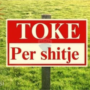 njoftime-Gazeta-Celesi__1778661119093_3955__1781849___cover.jpeg