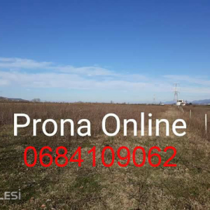 njoftime-Gazeta-Celesi__1778932862489_9431__1796959__.jpeg