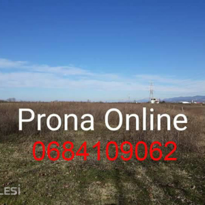 njoftime-Gazeta-Celesi__1778932862490_3751__1796959__.jpeg
