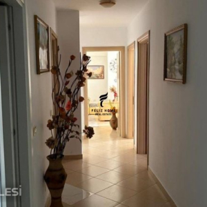 njoftime-Gazeta-Celesi__1779112746353_2801__1786019__.jpeg