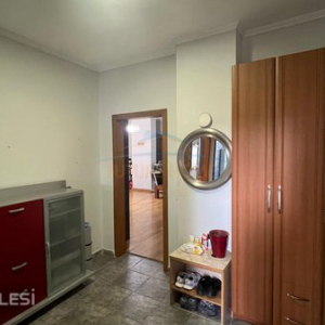 njoftime-Gazeta-Celesi__1779368364160_2355__1788264__.jpeg