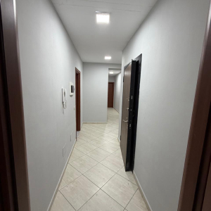 njoftime-Gazeta-Celesi__1779369044802_9022__1788285__.jpeg