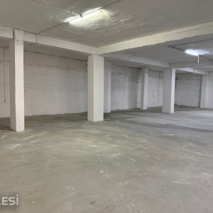 njoftime-Gazeta-Celesi__1779378162061_5304__1793502___cover.jpeg