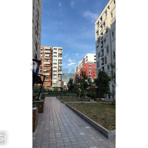 njoftime-Gazeta-Celesi__1779528515823_8472__1789609__.jpeg