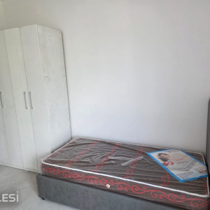 njoftime-Gazeta-Celesi__1779703341344_4047__1790365__.jpeg