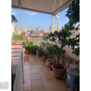 njoftime-Gazeta-Celesi__1779790294883_2667__1791346__.jpg