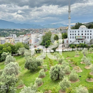 njoftime-Gazeta-Celesi__1779873493341_2291__1792087__.jpg