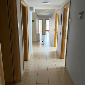 njoftime-Gazeta-Celesi__1779889362208_7426__1792209__.jpeg