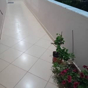 njoftime-Gazeta-Celesi__1780043766027_3672__1793786__.jpeg