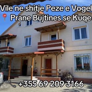 njoftime-Gazeta-Celesi__1780080743842_9812__1794331___cover.jpeg