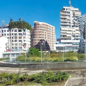 njoftime-Gazeta-Celesi__1780131553017_2871__1794517__.jpeg