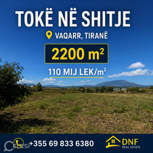 njoftime-Gazeta-Celesi__1780225509036_9052__1795257___cover.png