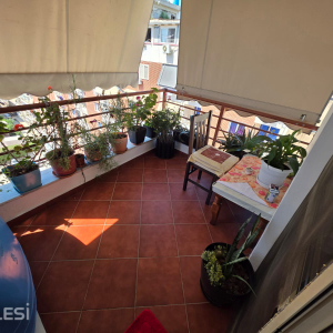 njoftime-Gazeta-Celesi__1780251854038_5716__1795419__.jpeg