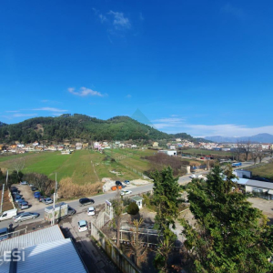 njoftime-Gazeta-Celesi__1780262465291_6756__1795448__.jpeg