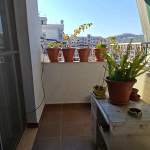 njoftime-Gazeta-Celesi__1780319486508_3164__1795931__.jpeg