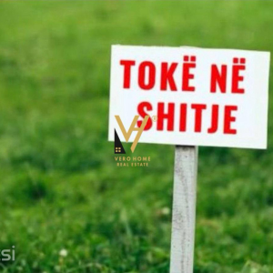 njoftime-Gazeta-Celesi__1780324076254_8962__1796023___cover.jpeg