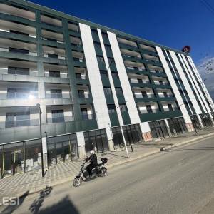 njoftime-Gazeta-Celesi__1780400950696_9751__1796685__.jpeg