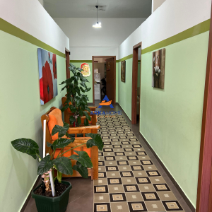 njoftime-Gazeta-Celesi__1780482559939_9847__1797573__.jpeg