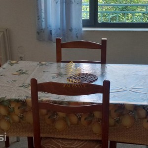 njoftime-Gazeta-Celesi__1780486712201_2460__1797687__.jpeg