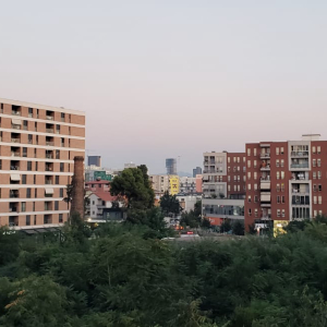 njoftime-Gazeta-Celesi__1780924332792_7565__1801046__.jpg