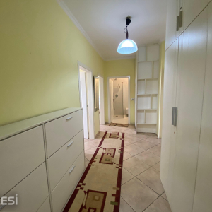 njoftime-Gazeta-Celesi__1781005224834_2741__1801815__.jpeg