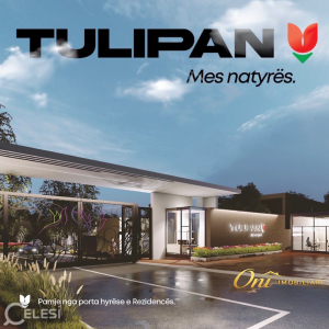 njoftime-Gazeta-Celesi__1781014422826_8832__1802039___cover.jpg