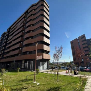 njoftime-Gazeta-Celesi__1781175183026_3925__1803483___cover.jpeg