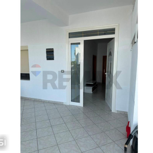 njoftime-Gazeta-Celesi__1781251447589_1641__1803979__.jpeg