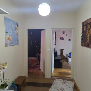 njoftime-Gazeta-Celesi__1781376194251_5962__1795296__.jpeg