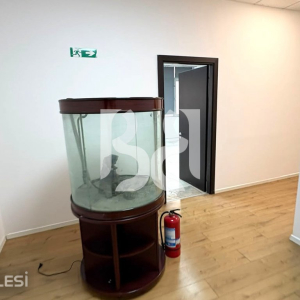 njoftime-Gazeta-Celesi__1781453758169_3199__1805116__.jpg