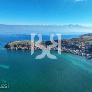 njoftime-Gazeta-Celesi__1781528257067_5386__1805580___cover.jpg