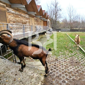 njoftime-Gazeta-Celesi__1781548660032_8412__1805879__.jpg