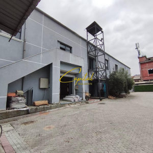 njoftime-Gazeta-Celesi__1781607097670_3117__1806175__.jpeg