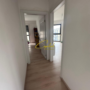 njoftime-Gazeta-Celesi__1781696864896_5306__1807132__.jpeg