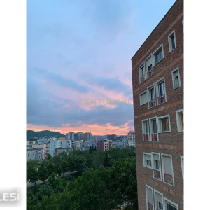 njoftime-Gazeta-Celesi__1781780709076_1694__1807873__.jpeg