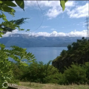 njoftime-Gazeta-Celesi__1782075908794_9981__1809598__.jpeg