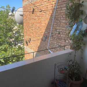 njoftime-Gazeta-Celesi__1782118285501_9560__1809721__.jpeg