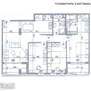 njoftime-Gazeta-Celesi__1782132509818_1677__1810148__.jpeg