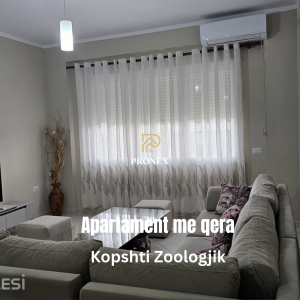 njoftime-Gazeta-Celesi__1782203046702_2105__1810564___cover.jpg