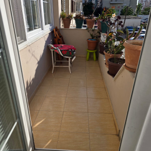 njoftime-Gazeta-Celesi__1782302075749_3867__1811953__.jpeg