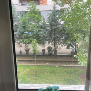 njoftime-Gazeta-Celesi__1782310239345_2184__1812081__.jpeg
