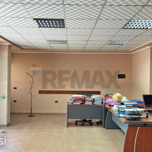 njoftime-Gazeta-Celesi__1782312968799_4763__1812141___cover.jpeg