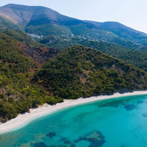 njoftime-Gazeta-Celesi__1782438985903_8168__1813036__.jpeg